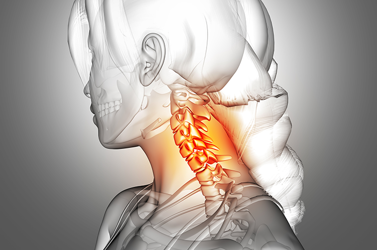 3d-female-figure-with-neck-bones-highlighted-kjpargeter-freepik.com-1594717