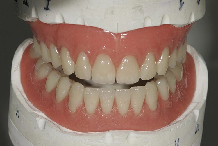 Abb. 118: Geöffnet zeigt sich etwas mehr Leben.