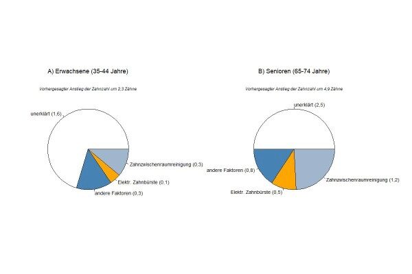 Abb. 5: Erklärung der Veränderung der Zahnzahl (ohne 8er, ohne Zahnlose) zwischen DMS III und DMS V durch die zunehmende Nutzung einer elektrischen Zahnbürste, die zunehmende Nutzung von Hilfsmitteln zur Interdentalraumhygiene sowie die Veränderung anderer Faktoren für Erwachsene und Senioren/-innen. „Andere Faktoren“ umfassen Alter, Geschlecht, Schulbildung, Region, Rauchstatus, Zahnputzhäufigkeit, Verwendung von Mundspülungen, Häufigkeit der Zahnarztbesuche, Ursache für Zahnarztbesuche, mundgesundheitsbezogene Selbstwirksamkeit; nur Erwachsene: Selbstangabe einer Parodontaltherapie; nur Senioren/-innen: Diabetes mellitus [28].