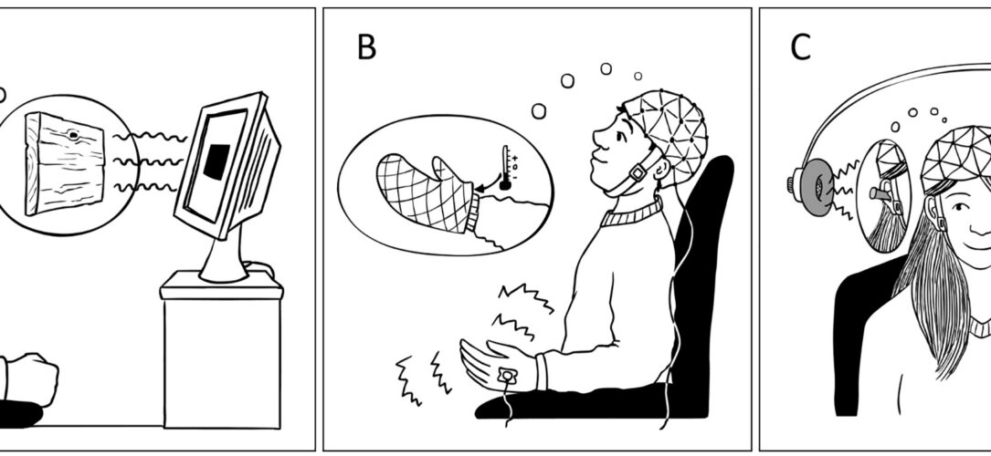Abb. 3: In meinen ersten drei Hypnose-Studien zeigte ich, wie Sinneseindrücke blockiert werden können mit Hypnose. Den Effekt konnten wir mit EEG-Messungen im Gehirn feststellen. In der ersten Studie (A) stellten sich die Probandinnen und Probanden ein Holzbrett vor den Augen vor, das den Blick auf den Bildschirm versperrt. In der zweiten Studie (B) arbeitete ich mit einem vorgestellten Handschuh, der die Hand kalt, taub und unempfindlich macht. Dadurch nahmen die Probandinnen und Probanden Schmerzreize weniger stark wahr. Schließlich blockierten wir in der dritten Studie (C) das Hören, indem sich die Probandinnen und Probanden Oropax vorstellten. In allen drei Studien konnten wir zeigen, dass die Reize noch im Gehirn ankommen, dann jedoch nicht weiterverarbeitet werden. Die Ergebnisse machen Mut, von der enormen Fähigkeit unseres Körpers, unsere Wahrnehmung zu steuern, Gebrauch zu machen.