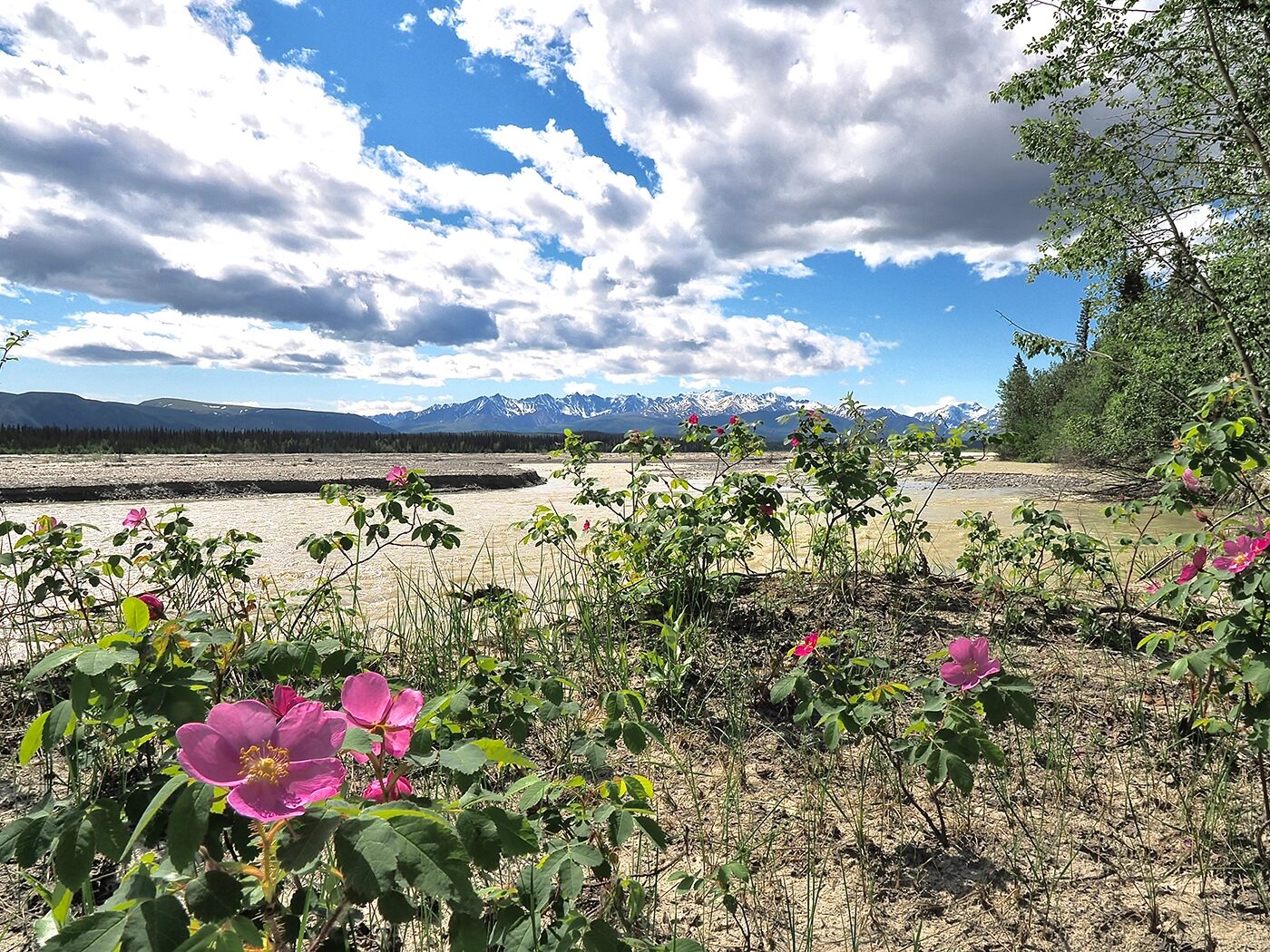 In breiten Tälern suchen sich Flüsse ihren Weg immer wieder neu
