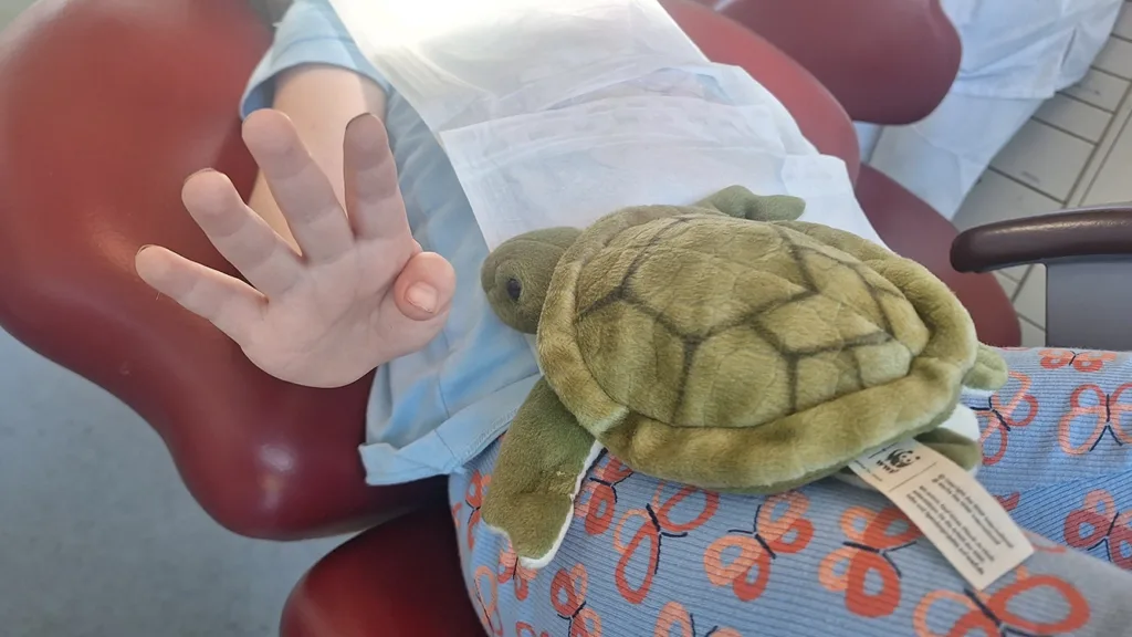 Eine Kinderhand und auf dessen Schoß ein Schildkrötenkuscheltier.