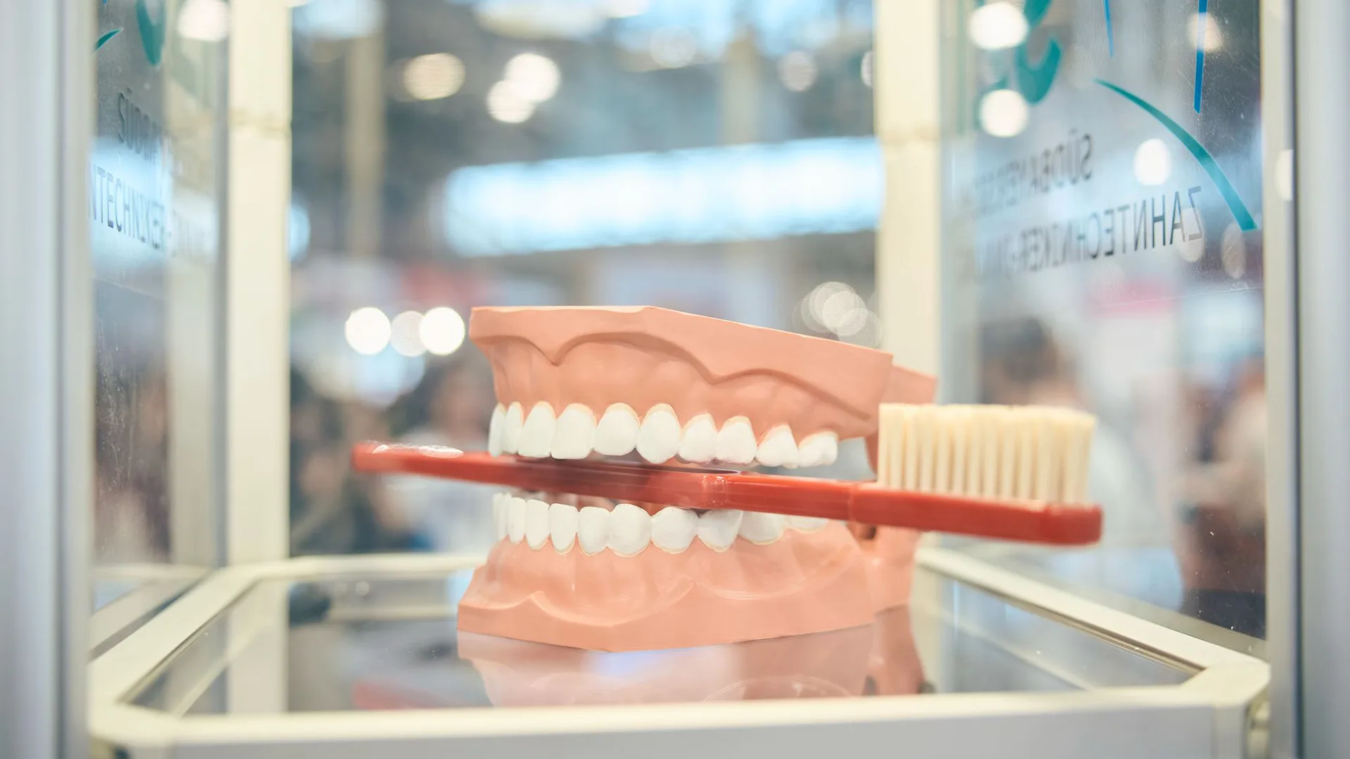 Ein Gebiss, welches eine Zahnbürste im Mund hält.