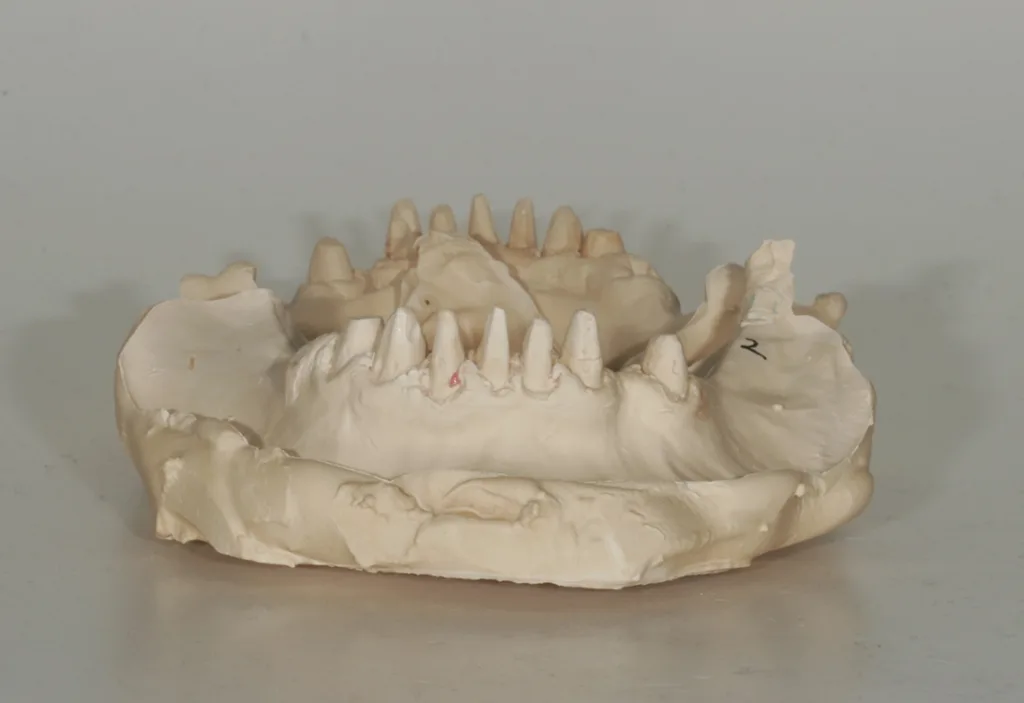 Der Zahnkranz abgehoben