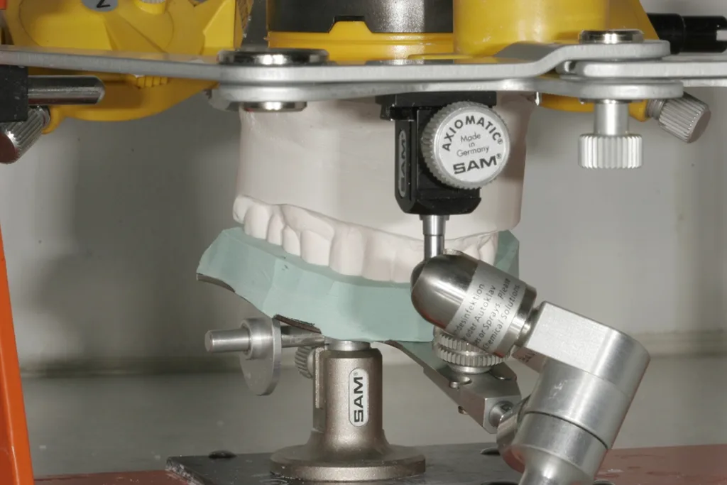 Schädelbezügliche Artikulation