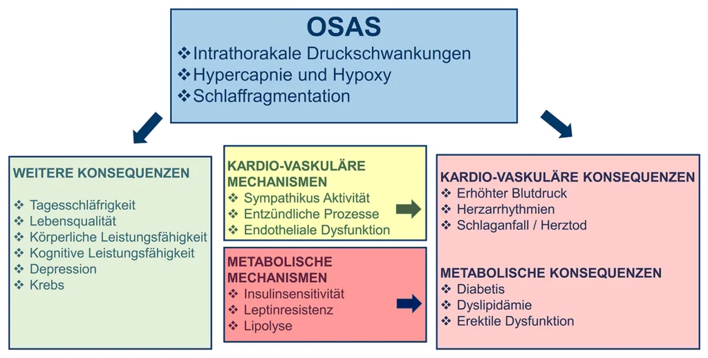 Abb. 2: Die Auswirkungen des OSAS sind vielfältig und können bedrohliche Ausmaße annehmen.
