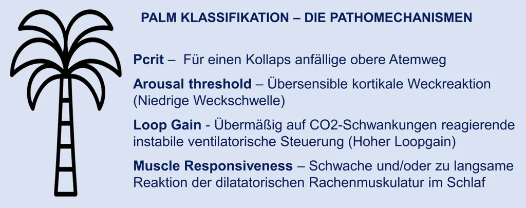 Abb. 18: Phänotypisierung der OSA nach D. J. Eckert [75].