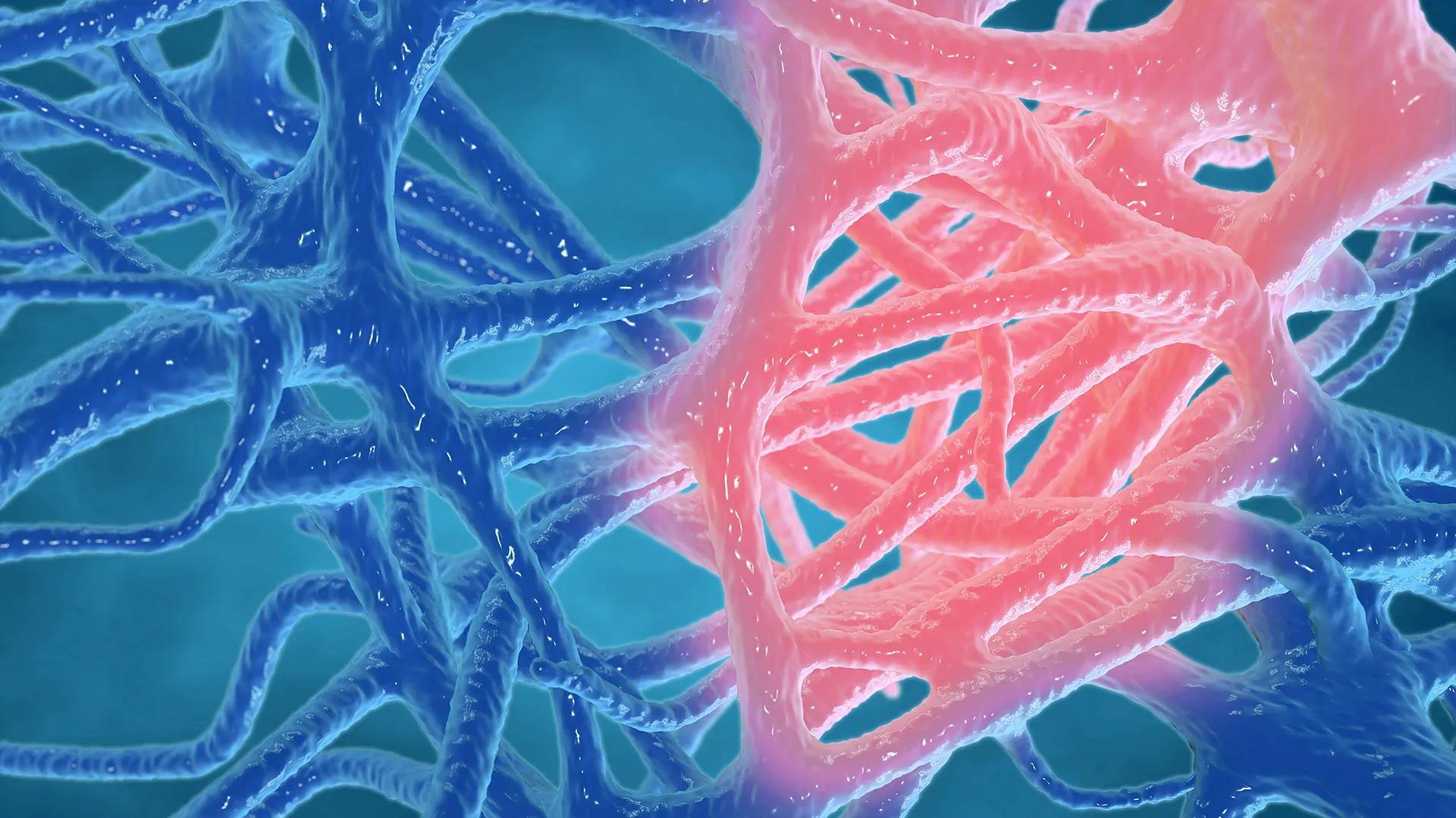 Inflammation concept, inflammated human tissues 3d rendering.