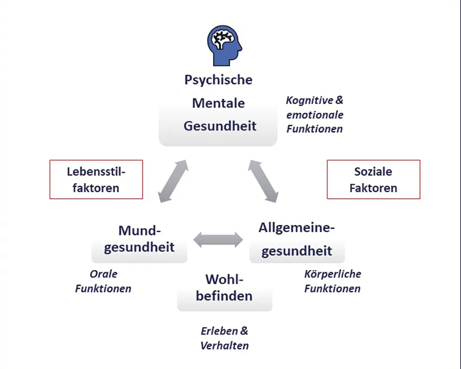Abb. 1 a und b: Befundung oraler Funktionen zur Erforschung der Zusammenhänge zwischen Mund, Gesundheit und Psyche [18,26].
