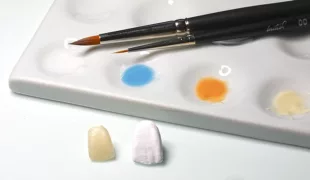 Ästhetik erfordert Handarbeit. Durch Oberflächenbearbeitung, Sintern und farbliche Individualisierung fügt sich Zirkonoxidkeramik perfekt in das natürliche Zahnbild ein. Das „Workinar“ der Cerec Masters zeigt den Weg.
