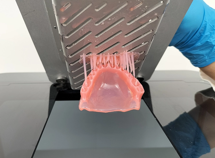 Abb. 4: Fertig gedruckte Prothesenbasis.