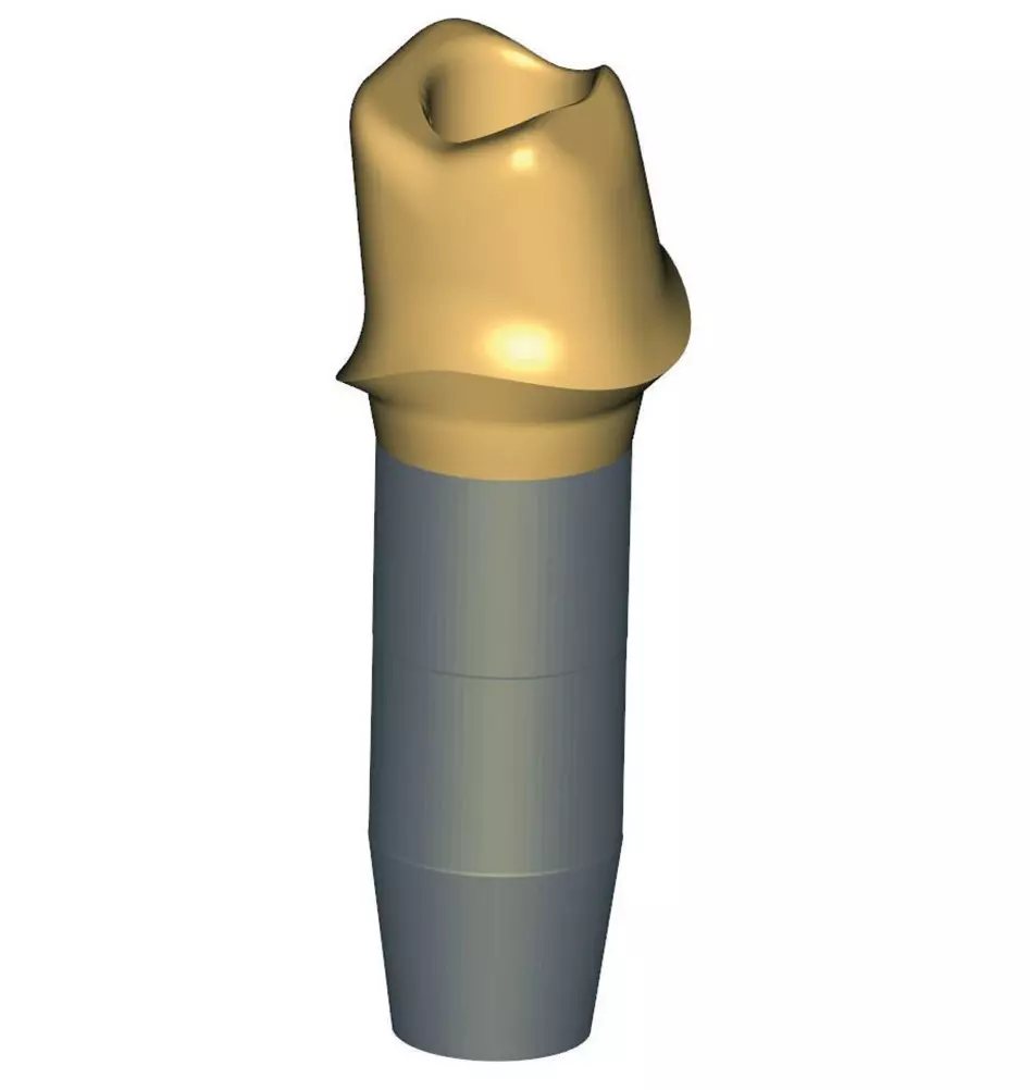 Abb. 15: Das CustomBase-Abutment (titannitridbeschichtet) mit Darstellung des Schraubkanals.