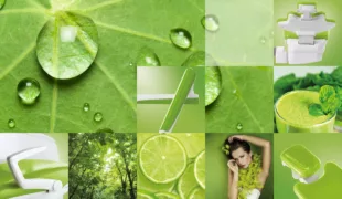 Die neue Greenery Edition von KaVo