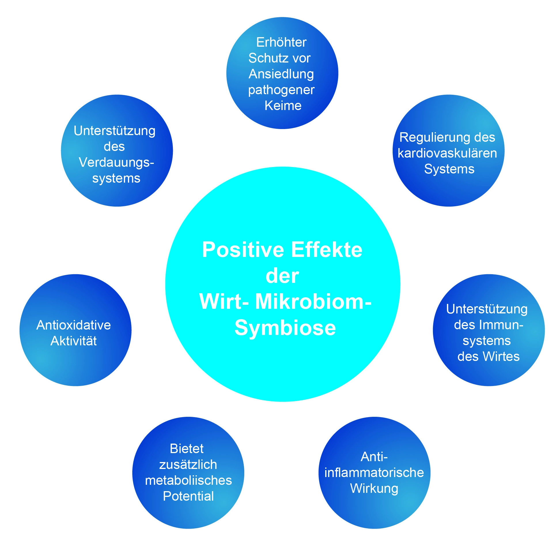 Positive Effekte der Wirt-Mikrobiom-Symbiose.