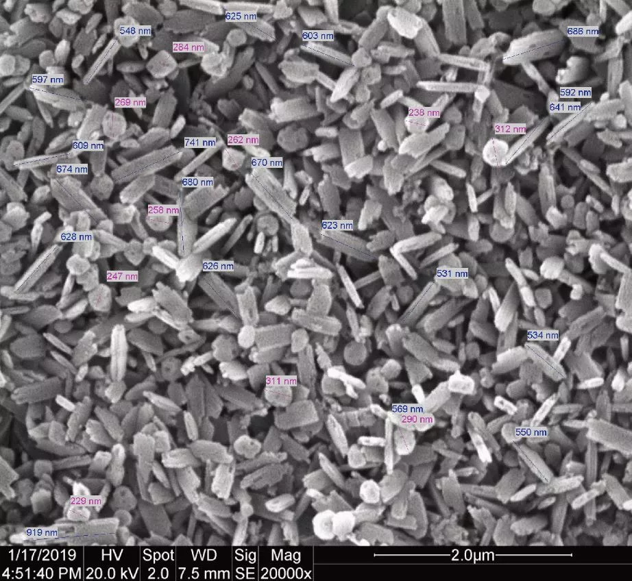 Abb. 2: „Stäbchen“ (ca. 600 nm) sind Lithiumdisilikat-Kristalle, „runde“ Kristalle (ca. 200 nm) sind das Virgilit. A3,5: Q241 x-714 (800°C; Q46 - 0,5 wt.%Al2O3, +3,0wt%SiO2).
