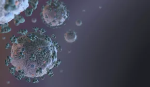 Immunsystem