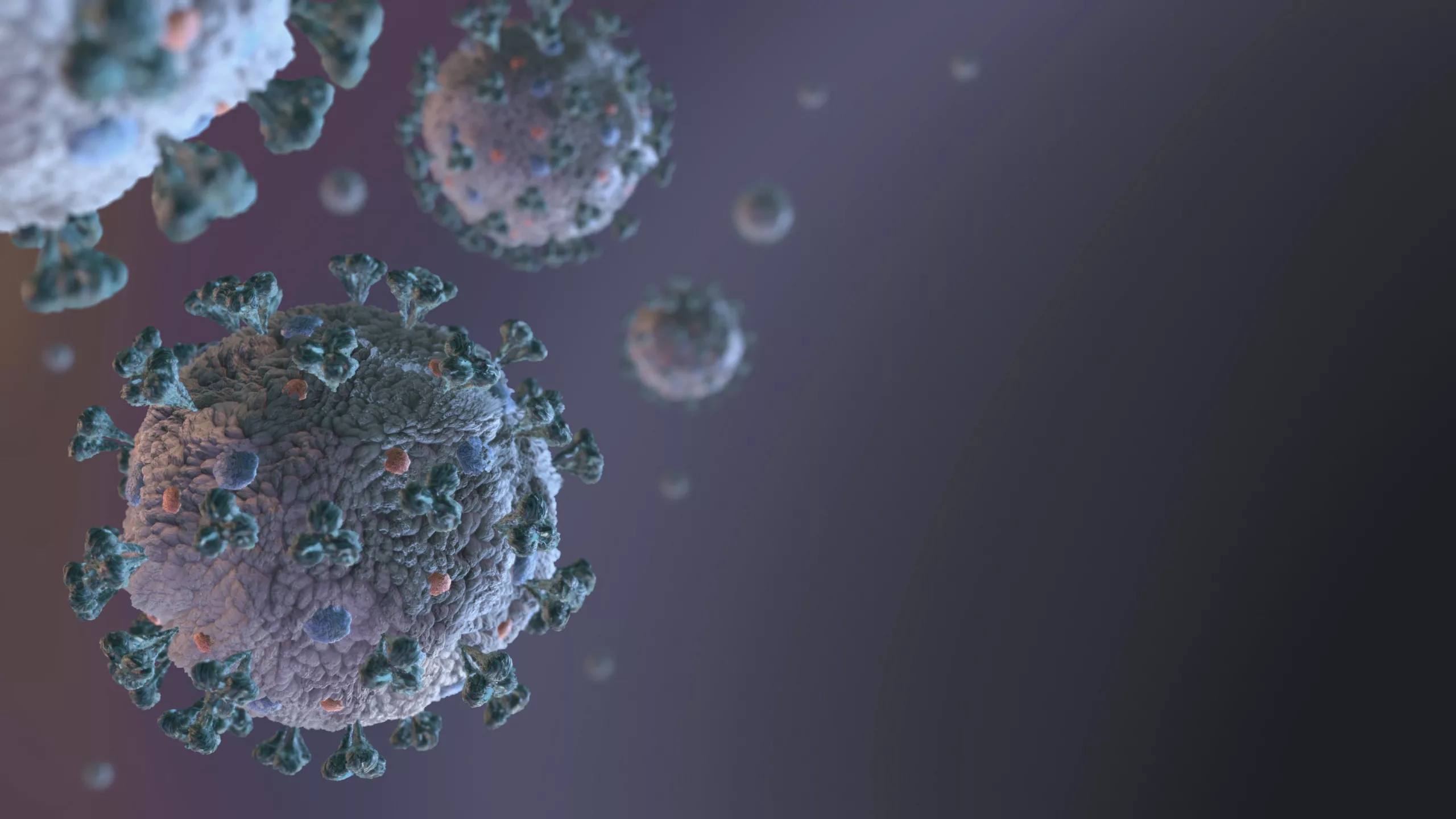Immunsystem