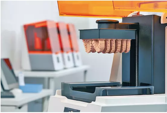 Abb. 3a: Modelle auf der Druckplattform.