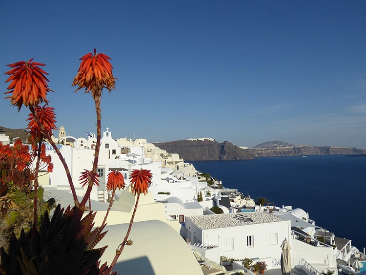 Ein herrliches Panorama über die Inselstadt OIa.