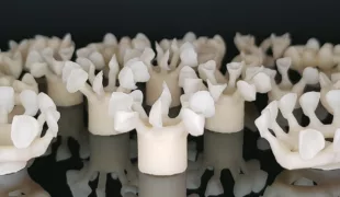 Hier reicht ein einziger Presskanal pro Restauration: zahlreiche Arbeiten (Celtra Press, Dentsply Sirona Prosthetics) frisch aus dem Muffelofen.