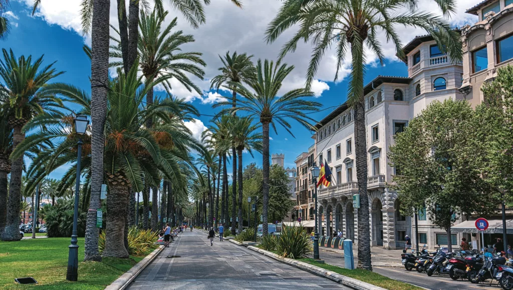 Wer vom Auswandern träumt … vielleicht als Zahntechniker auf Mallorca arbeiten?