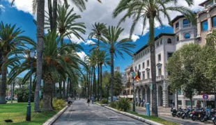 Wer vom Auswandern träumt … vielleicht als Zahntechniker auf Mallorca arbeiten?