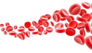 © Alexandr Mitiuc/fotolia