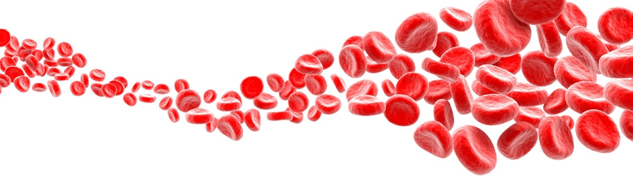 © Alexandr Mitiuc/fotolia