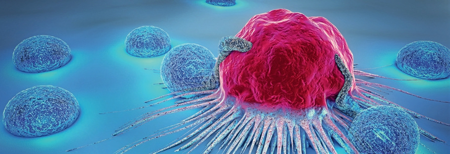 © Christoph Burgstedt / Fotolia