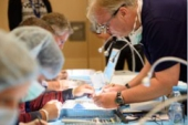 Dr. Detlef Hildbrand, DE, präsentiert erneut einen Workshop. Bildquelle: Oral Reconstruction Foundation