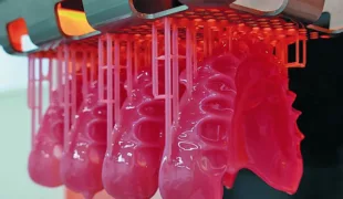 Ceramill Full Denture System (FDS).