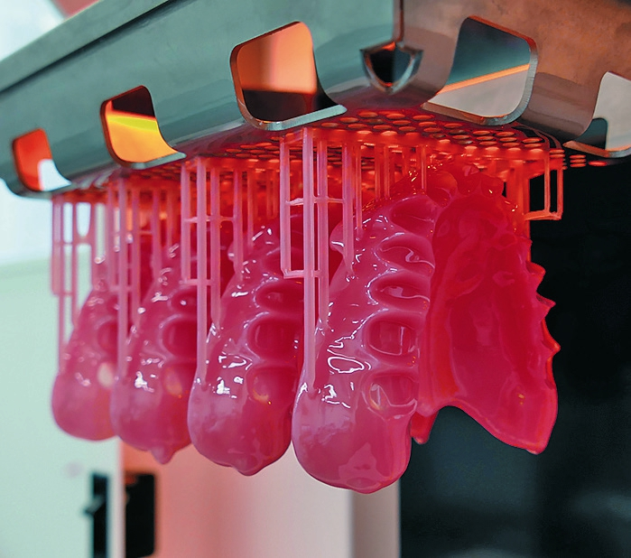 Ceramill Full Denture System (FDS).
