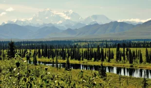 Kluane-Nationalpark im Südwesten des Yukon-Territory mit dem 5.959 Meter hohen Mount Logan im Hintergrund, dem höchsten Berg Kanadas.