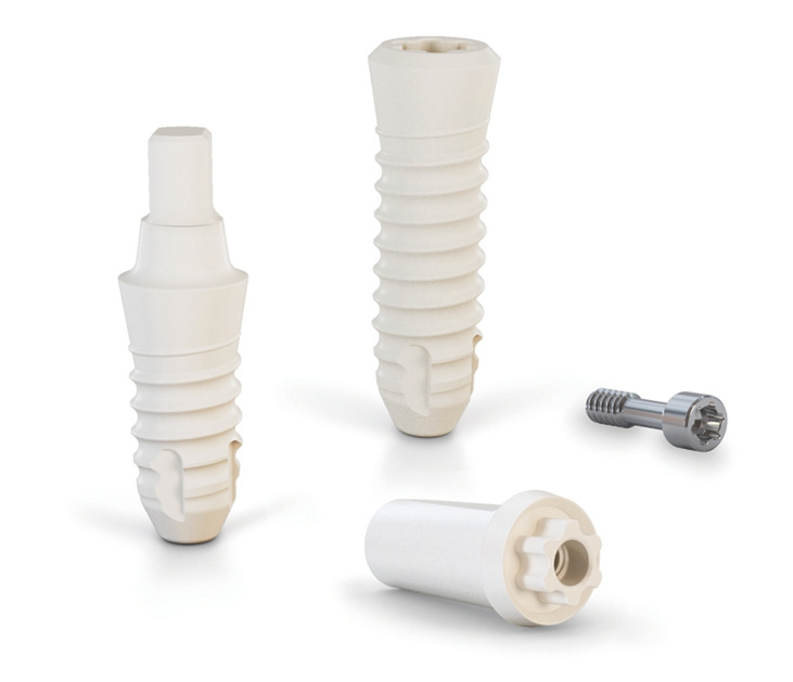 Das CERALOG® Portfolio umfasst das einteilige CERALOG® Monobloc und das zweiteilige CERALOG® Hexalobe Implantat.