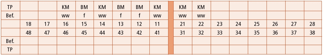 Abb. 01:Symbolerläuterungen: KM = vollverblendete Krone, BM = vollverblendetes Brückenglied, f = fehlender Zahn, ww = erhaltungswürdiger Zahn mit weitgehender Zerstörung, Bef. = Befund, TP = Therapieplanung.