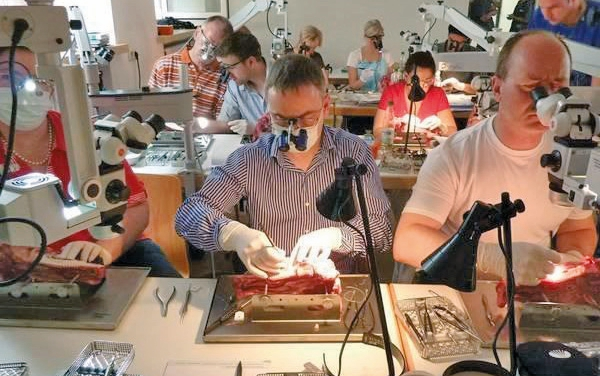 Mit der Praxis wächst die Erfahrung – im Masterkurs wird Hand angelegt.