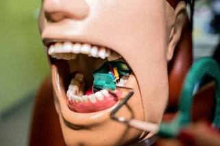 Für Sandra Schiwon sind die Halterungssysteme vor allem bei endodontischen Fragestellungen hilfreich.