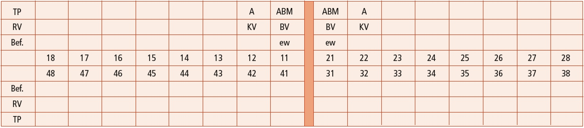 Erläuterungen Befundsymbole: TP = Therapieplanung, Bef. = Befund, RV = Regelversorgung, ew = ersetzter, aber erneuerungswürdiger Zahn, A = Adhäsivbrücke, ABM = Brückenglied Adhäsivbrücke vollkeramisch oder keramisch voll verblendete Restauration, KV = Krone mit vestibulärer Verblendung, BV = Brückenglied mit vestibulärer Verblendung.