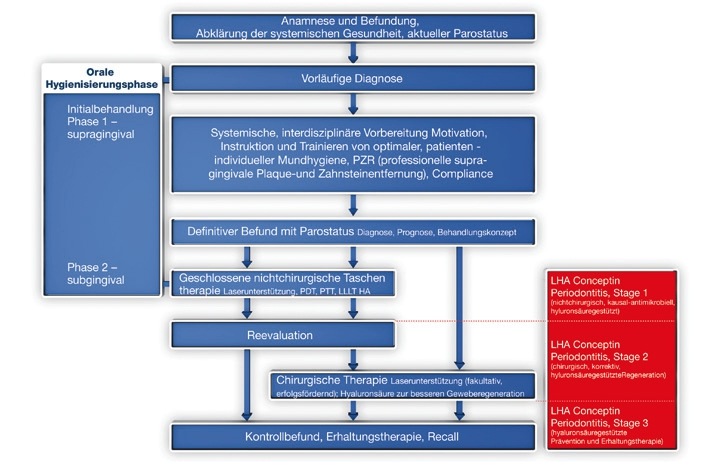 Schema 1: Die verschiedenen Phasen und der Behandlungsablauf des Liebaugs Hyaluronic Acid Concept in Periodontitis.