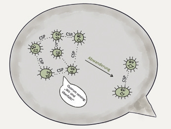 Abb. 3: Schematische Darstellung der Kommunikation zwischen S. mutans über „Competence Stimulating Peptide“ (CSP) (Quelle: A. Felten).
