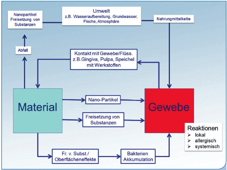 Abb. 1: Schematische Darstellung der Wechselbeziehung von zahnärztlichen Werkstoffen und Gewebe, modifiziert nach Schmalz et al. [20].