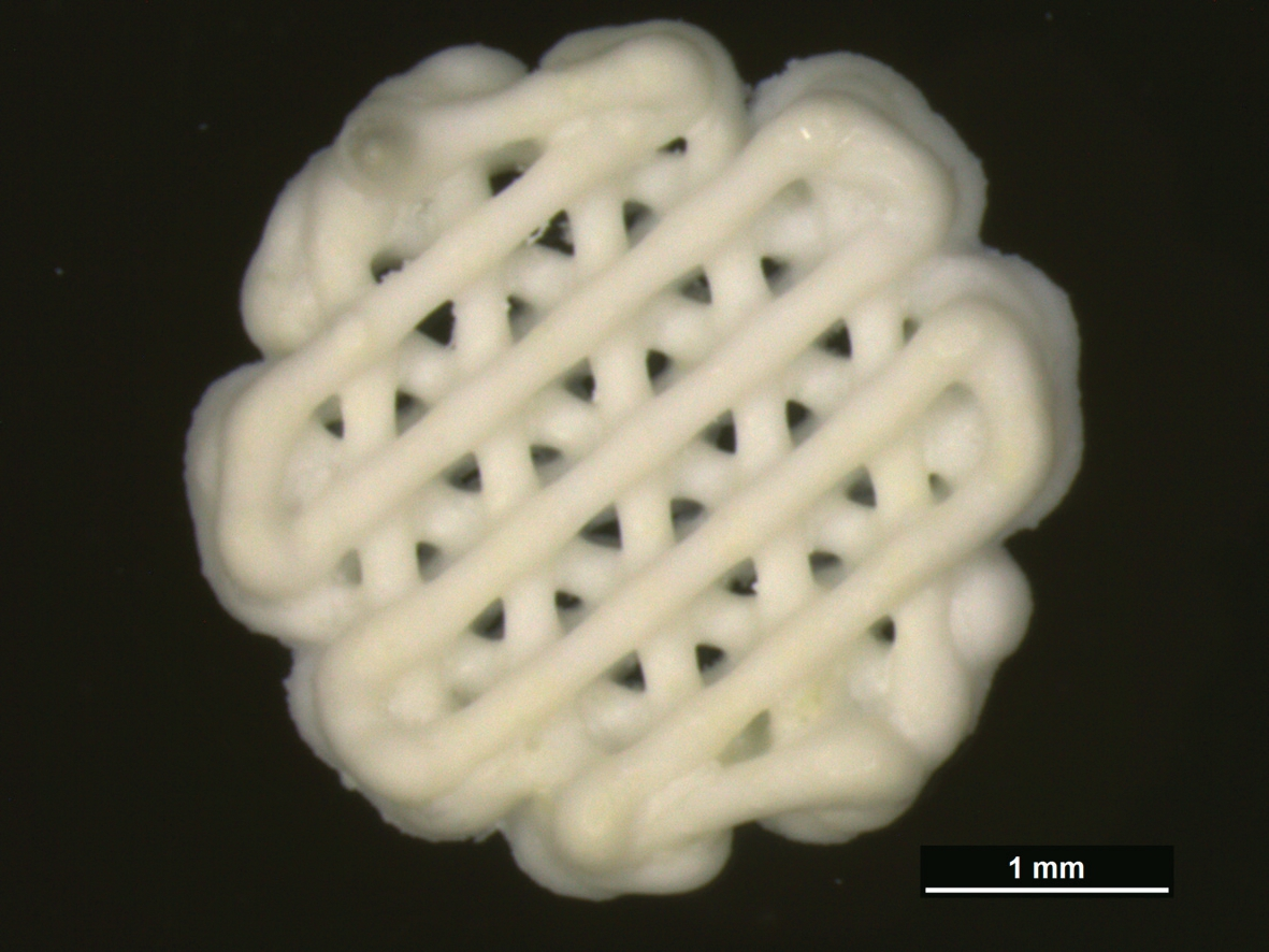 Abb. 2: Ein aus bioresorbierbarem Kalziumphosphatzement gedruckter Scaffold für die Heilung einer artifiziell zugefügten persistierenden Gaumenspalte einer Ratte. Die gedruckten Stränge härten nach dem Drucken zu biomimetischem, knochenähnlichem Hydroxylapatit aus, der durch körpereigene Zellen abgebaut werden kann.