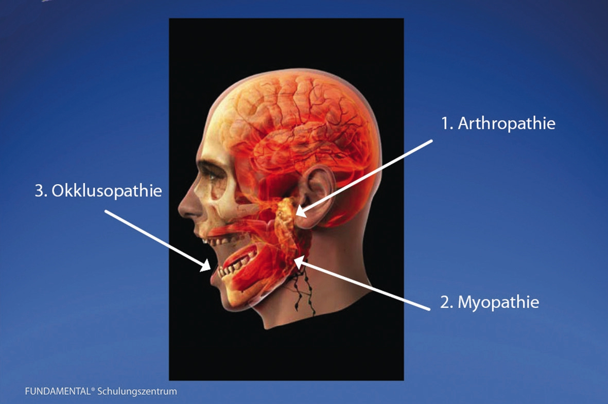 Abb. 2: Regelkreis im neuromuskulären System.