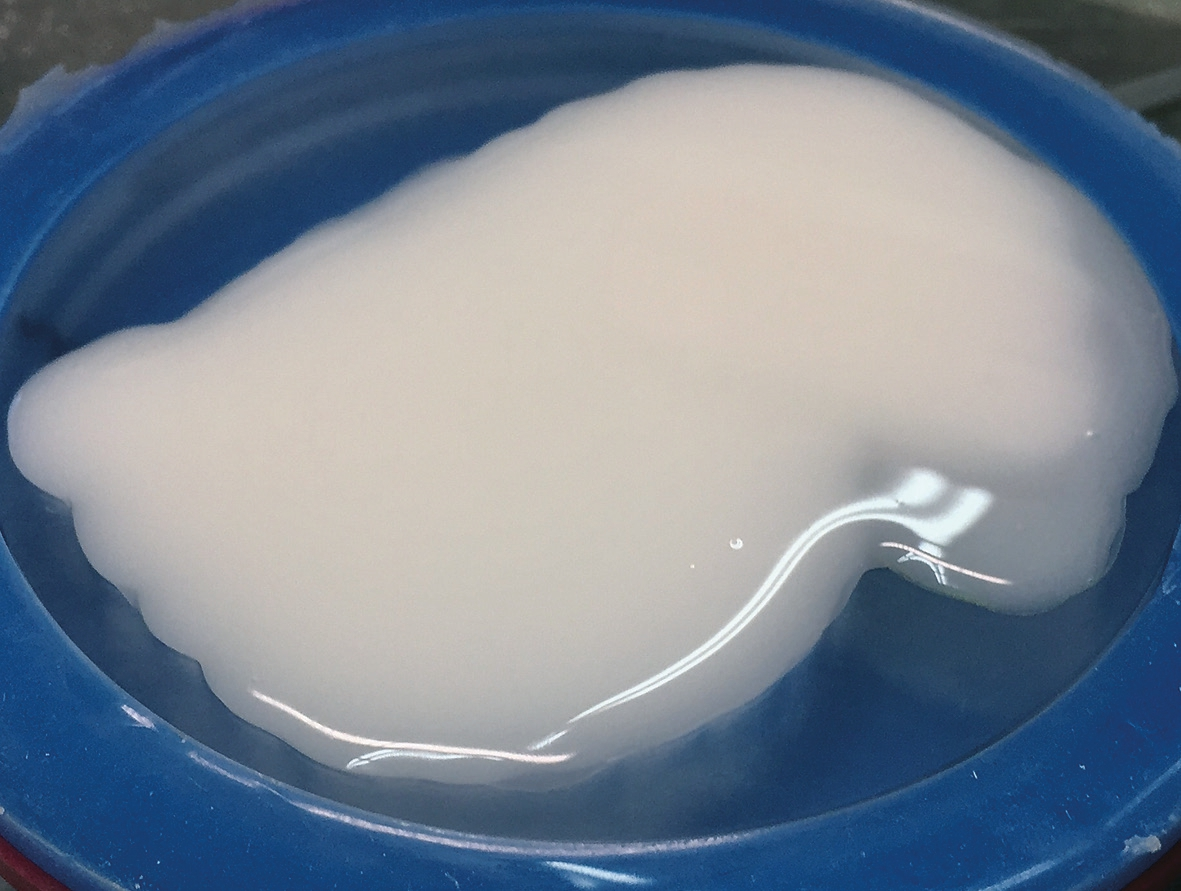 Abb. 4: Frisch befüllter Blank vor der Polymerisation.