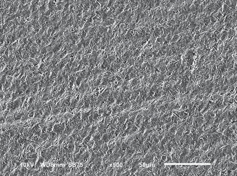 Abb. 4: Dentinoberfläche nach Verwendung eines Natriumbicarbonat-Prophylaxepulvers.