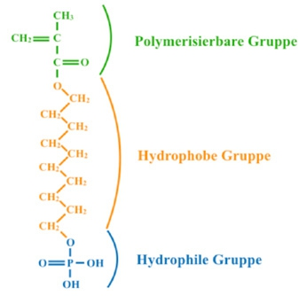 Abb. 5: Strukturformel MDP (Quelle: http://kuraraydental.com/key-technologies-innovations/mdp-monomer).