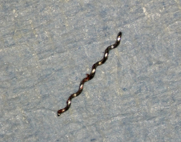 Abb. 6: Entferntes Lentulo-Fragment.
