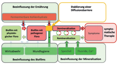 Abb. 4: Ansatzpunkte verschiedener „präventiver“ und „therapeutischer“ Interventionen. Non-invasive Maßnahmen sind grün, mikro-invasive Maßnahmen gelb und (minimal-)invasive Maßnahmen rot dargestellt [8].