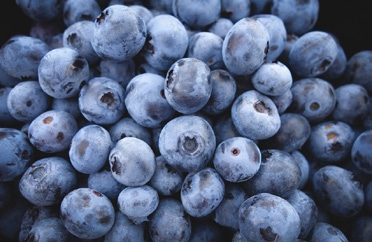 Abb. 6: Blaubeeren sind reich an Antioxidantien und Polyphenolen und senken nachweislich parodontale Entzündungen, Blutdruck und Cholesterin.