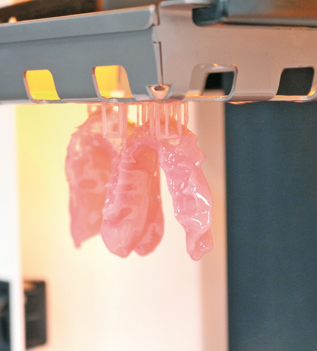 Abb. 8a: Mit den neuen mikrogefüllten Materialien können Hybridprothesen genauso wie komplette Lösungen aus dem 3D-Drucker kommen. Hier eine Prothesenbasis.